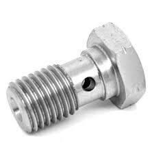 Banjo skrūves bremžu šļūtene (M10x100)